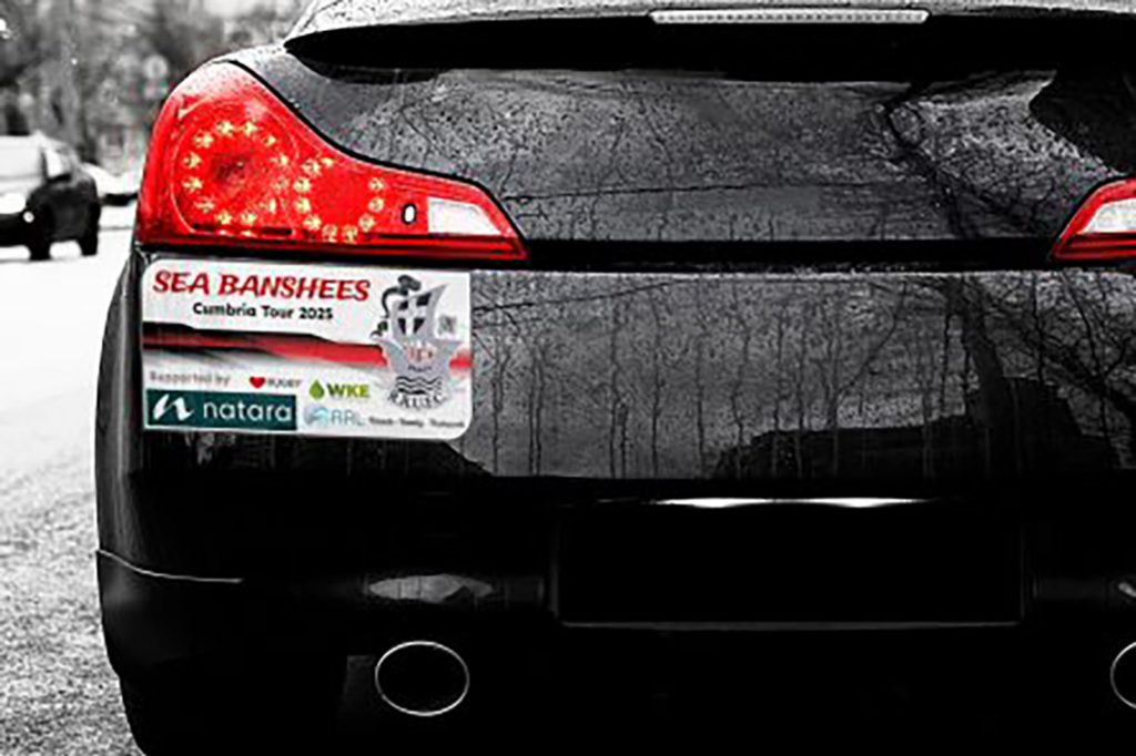 Car Decal Stickers 1