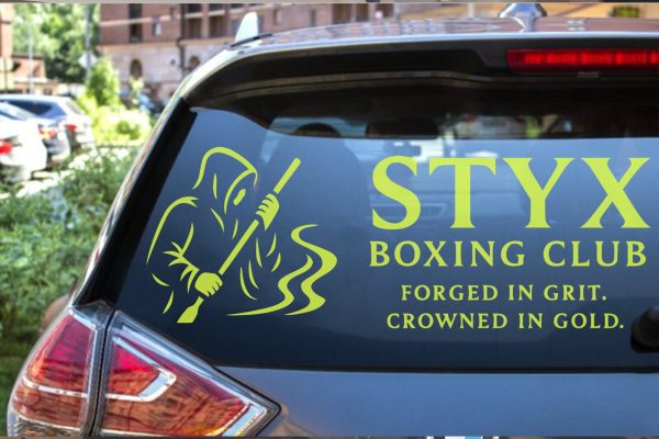 Clear Car Decals - Image 2