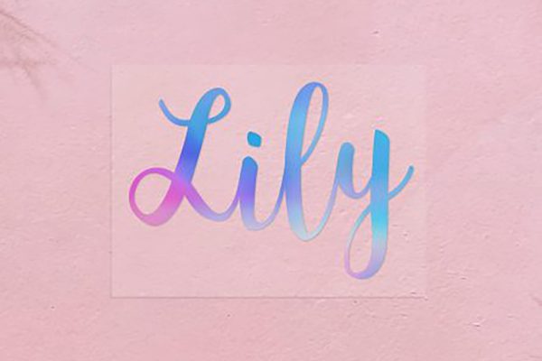 Custom Name Labels