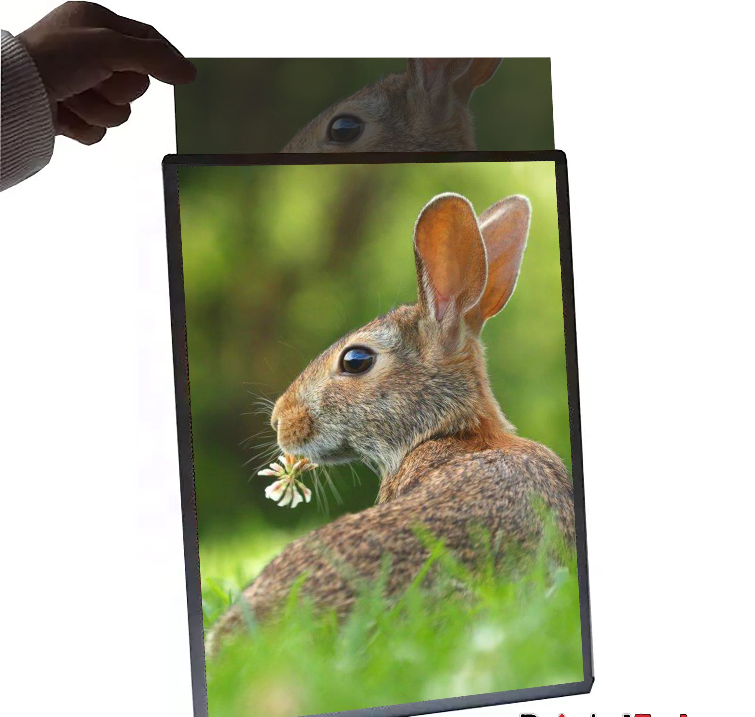 A2 LED Lightbox Frames Replacement Graphics