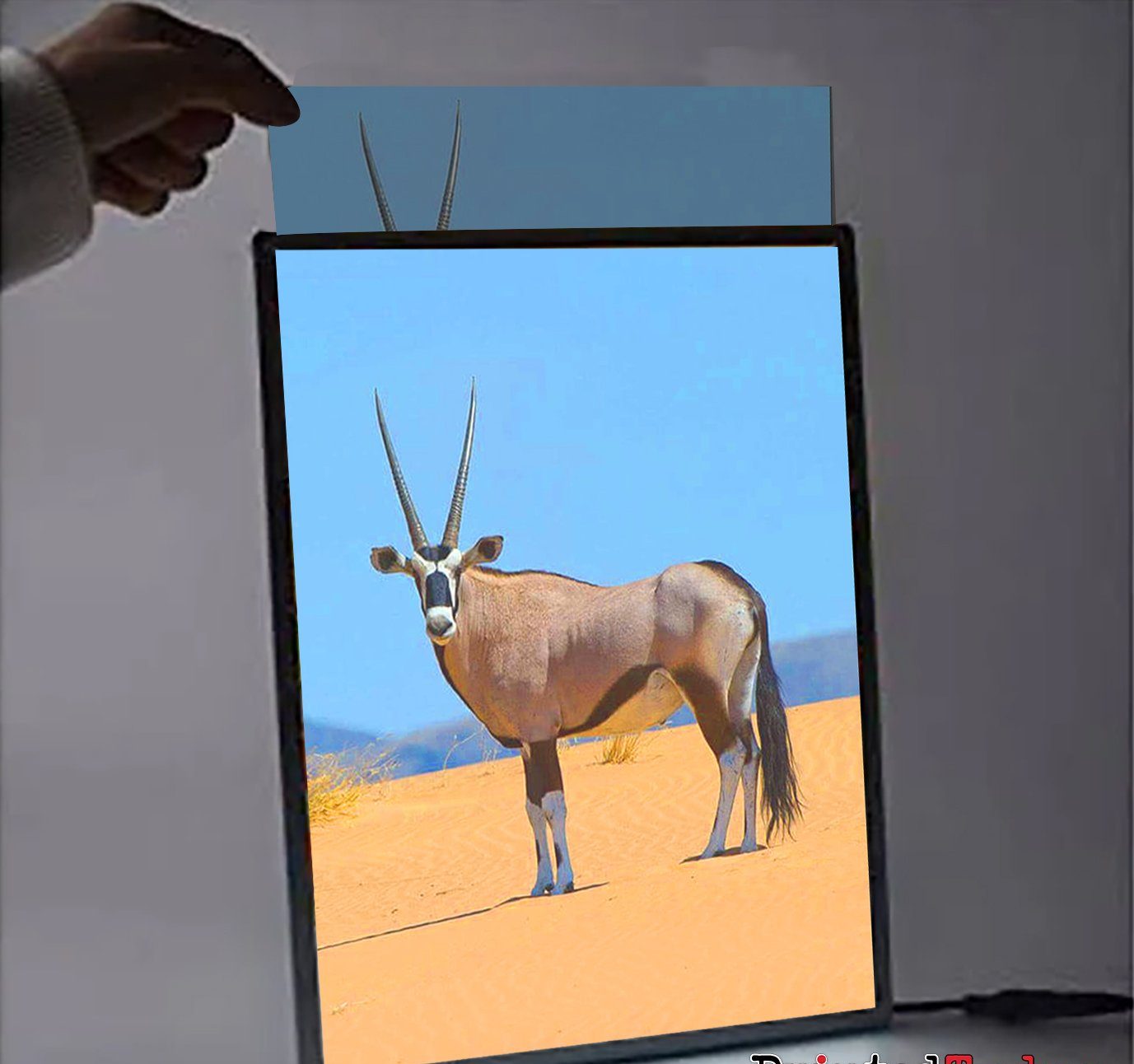A1 LED Lightbox Frames Replacement Graphics
